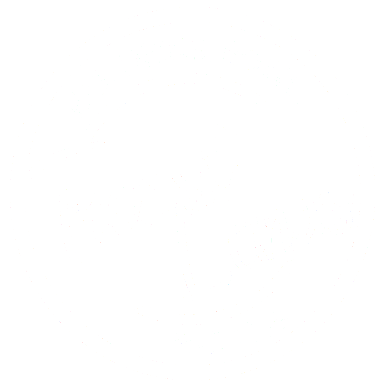 transit_lanes_logo_white_LG